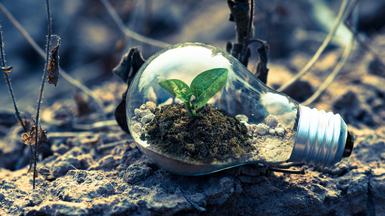 A relação direta entre as práticas corporativas e as boas posturas com o Meio Ambiente